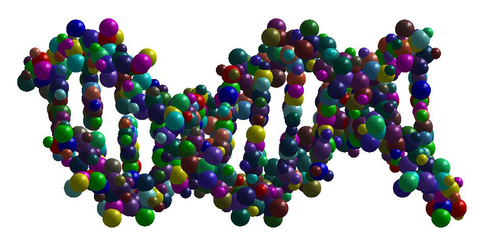 DNA: 768 atoms