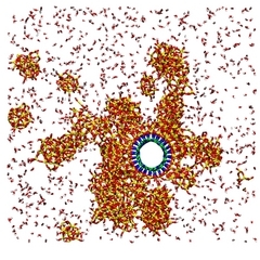 Growth of amorphous Si-O NT on functionalized BN-NT