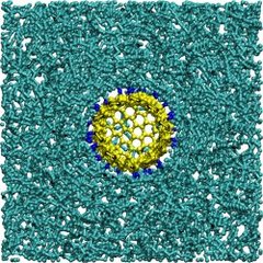 C-NT in polyethylene with cross-links