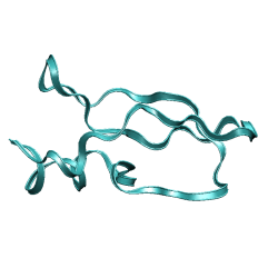 BPTI ribbon view